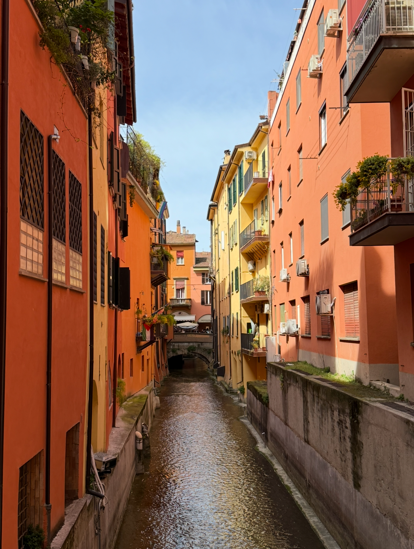 24 Hours in Bologna: A Perfect Day in Italy’s Underrated Gem