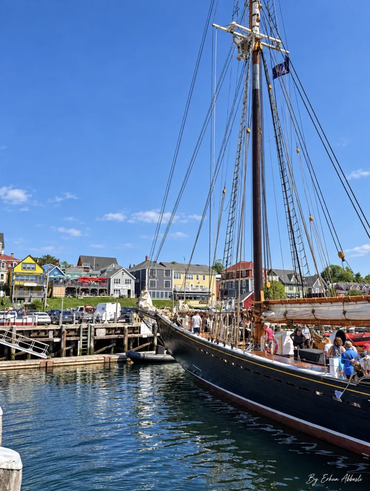 Tall ship moored in Lunenburg harbour with colourful houses behind